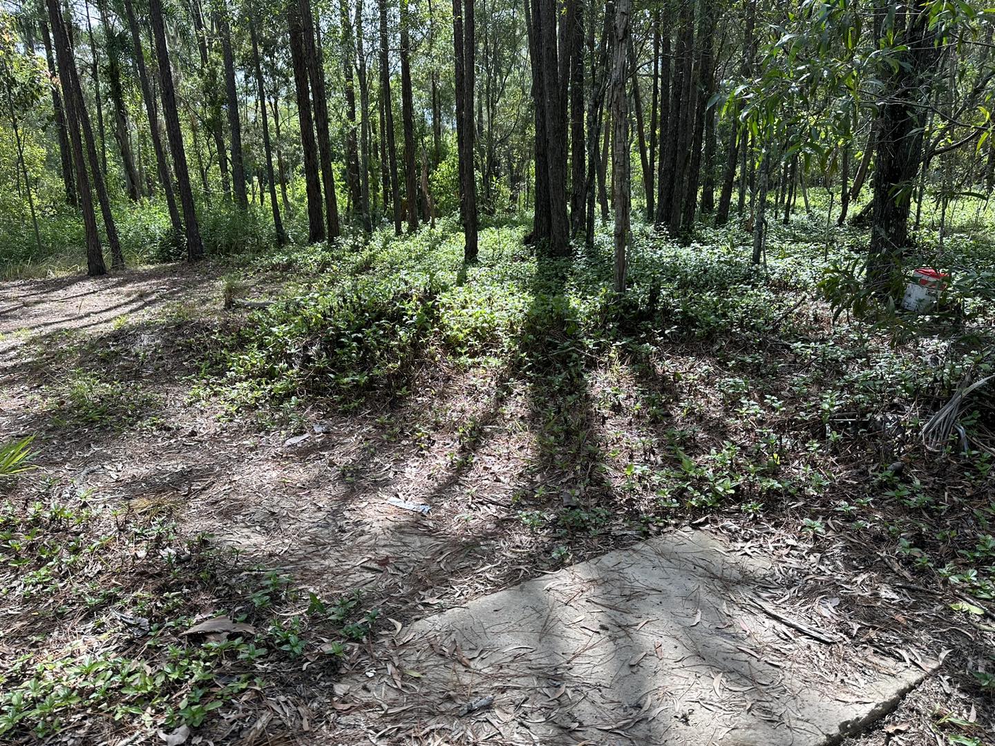 Coomera Upper State School Site